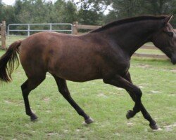 belleza rhf belleza rhf