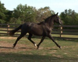 Benita RHF Benita RHF