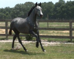 Despejada Roy Despjada Roy