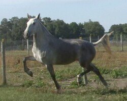 Ecliptica Roy Ecliptica Roy