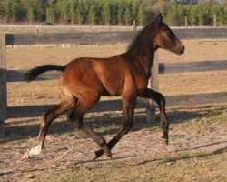 Ganadora Roy Ganadora Roy