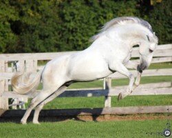 Guerrero Roy Guerrero Roy
