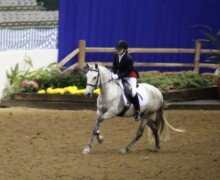 Helios Roy Helios Roy