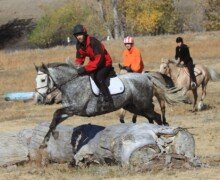 Brigidia RHF Brigidia RHF