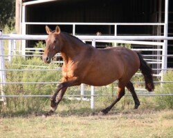 Celebrada Roy Celebrada Roy