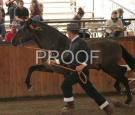 Bolillero RHF Bolillero RHF
