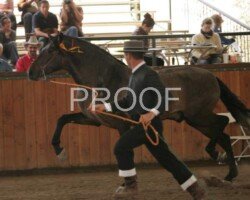 Bolillero RHF Bolillero RHF