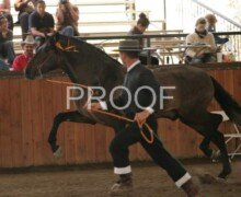 Bolillero RHF Bolillero RHF