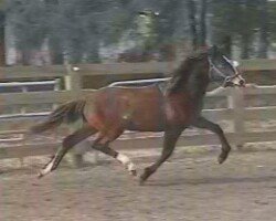 Bonita RHF Bonita RHF