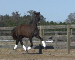 Endrina Roy Endrina Roy