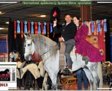 Fugitivo Roy Fugitivo Roy