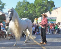 Balear RHF balear rhf