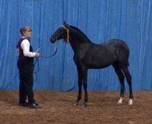 Fabuloso Roy Fabuloso Roy