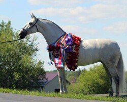 Fresona Roy Fresona Roy