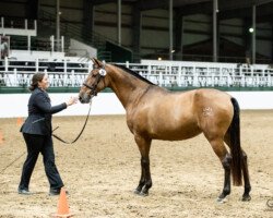 Felina Roy Felina Roy