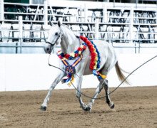 RHF Legada RHF Legada