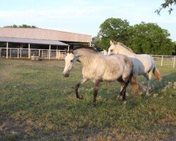 Divina Roy Divina Roy