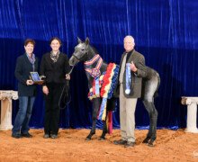 RHF Regala
Multi National Champion - USEF Horse of the Year RHF Regala